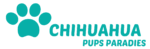Chihuahua Pup Paradise